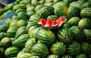 五一吃瓜网官方网站,揭秘五一假期热门事件，带你畅游吃瓜盛宴！